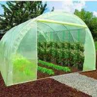 /album/exportar-abonos-si-es-posible-/descarga-2-jpg/